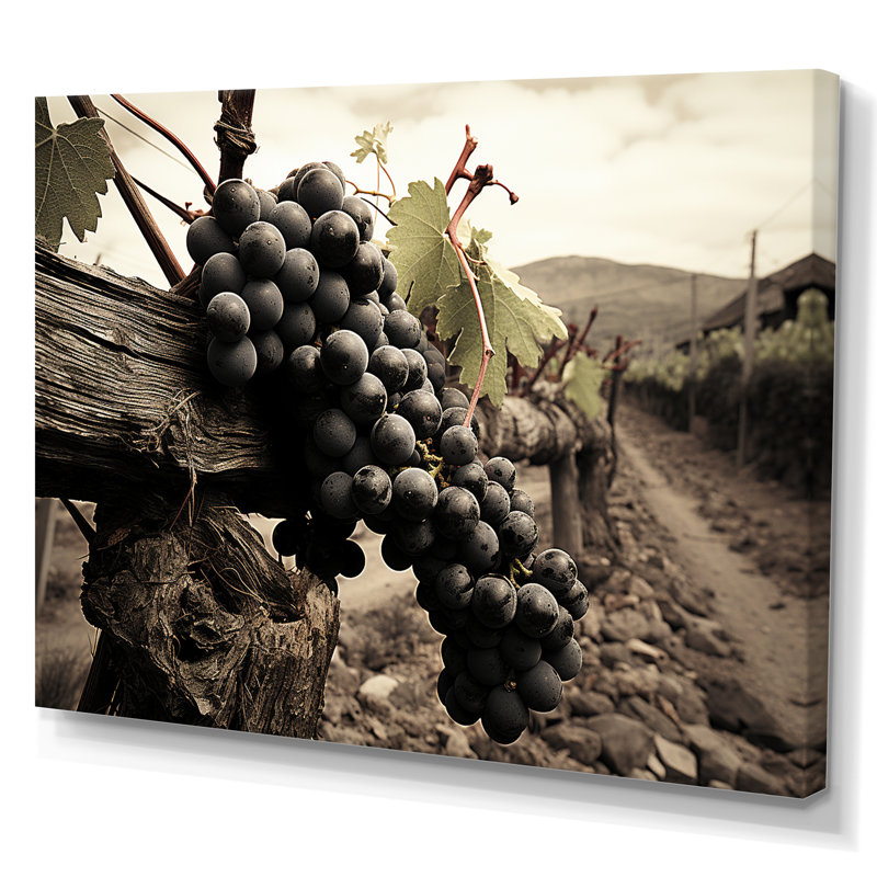 Vintage Charm Winery - vignoble, art mural, H 12 po x l 20 po x P 1 po, Toile tendue