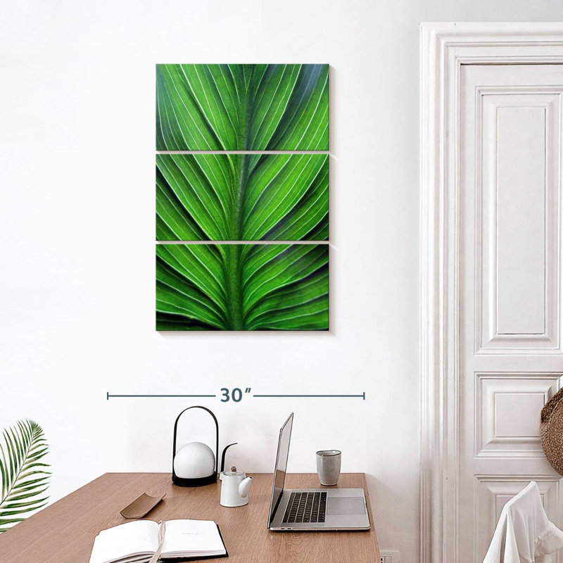 Harnek Leaf Lines, 32" H x 20" W