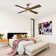 Camran 52'' Ceiling Fan with LED Lights