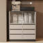Armoire de rangement multifonctionnelle Gorlest