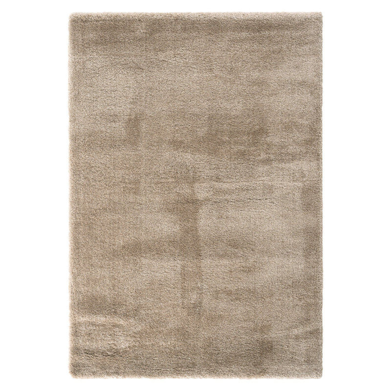 Rhodella Solid Colour Machine Made Indoor / Outdoor Area Rug, Rectangle 3'3" x 4'11"