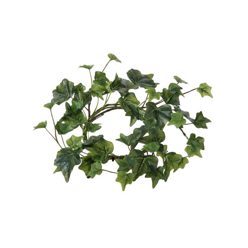 Anneau de lierre anglais 8 po, Vert