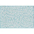 Aqua/White