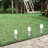 Metal Bollard Light