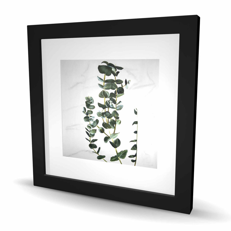 Tiges d'eucalyptus - reproduction encadrée mate pour la décoration intérieure, H 16 po x l 16 po