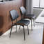 Ensemble de 2 chaises de salle à manger modernes Mid-Century
