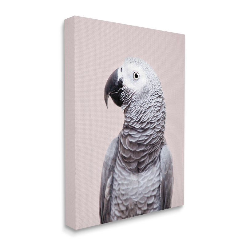 «Stupell Industries», art mural gris sur toile par Sissi et Seb, H 40 po x l 30 po x P 1,5 po