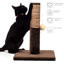 Odell Scratching Post