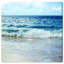 « sea life iii », reproduction de photo sur toile tendue-23151708