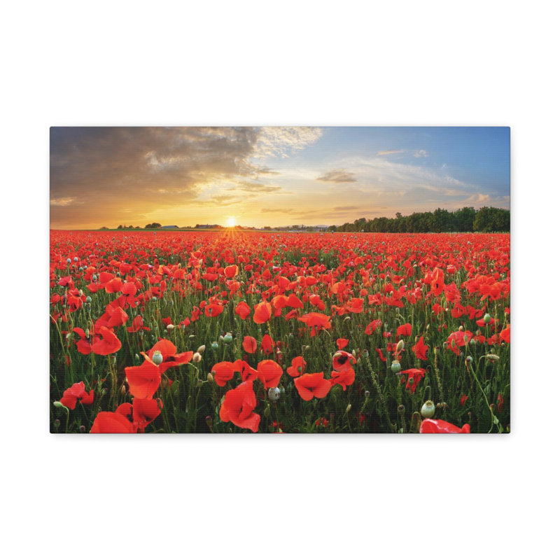No Frame Print on Canvas, 12cm H x 18cm W