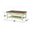 Briseno Solid Wood Top Coffee Table-32867385