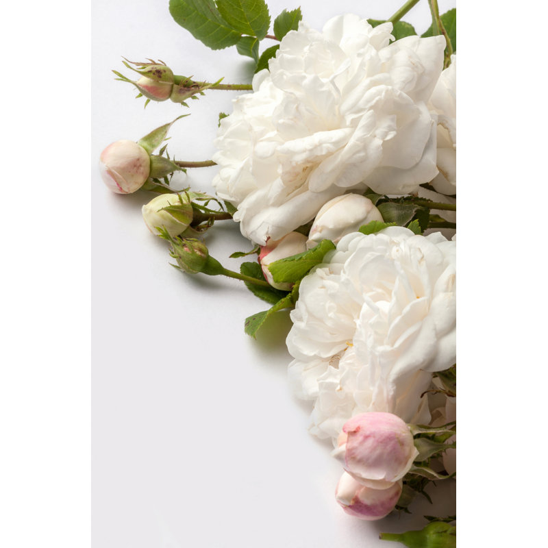 Khal " Roses " by Fotomem, 18" H x 12" W x 1.25" D