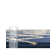 Glam Navy Blue Gold Area Rug