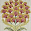 Aurelia Embroidery Fabric-50801684