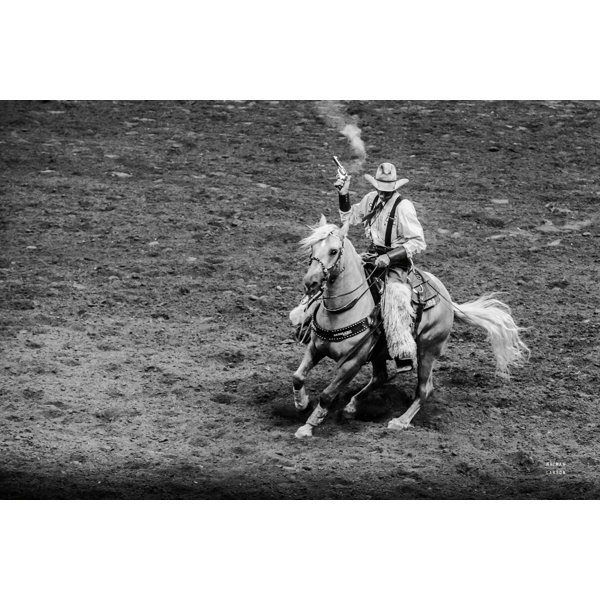 Rustic Brown Rodeo Union Rustic