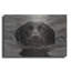 «Dog Shark» par John Silver