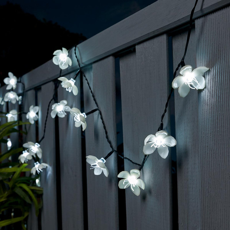 String Lights, Warm