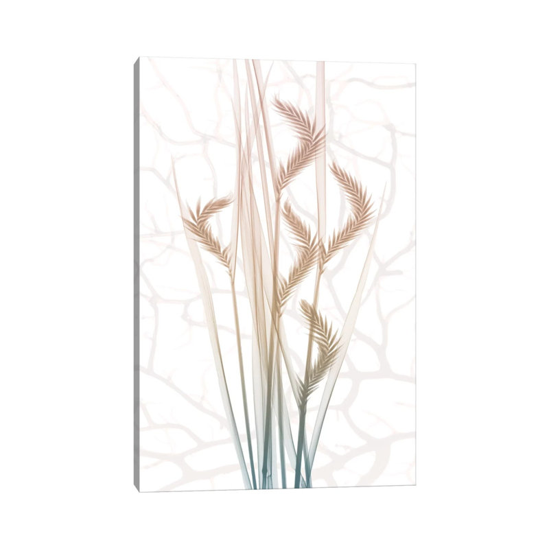Toned Dawn III by Albert Koetsier - Wrapped Canvas Print, 20.32 cm H x 30.48 cm W