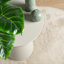 Nadhir Solid Colour Area Rug-2058184368