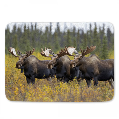 Montico Microfiber / Microsuede Non-Slip Bath Mat