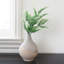 Plastique buisson lavande-1456493416