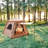Easy-Pitch Inflatable Adventure Tent