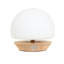 Mijan Solid Wood Novelty Lamp