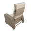 Essence Recliner Patio Chair With Cushion-127531713