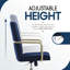 Elle Decor Giselle Modern Home Office Desk Chair with Gold Arms and Base-36124652