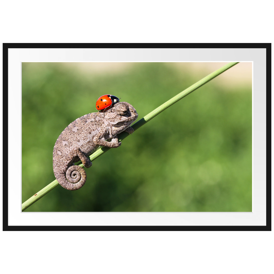 Gerahmtes Poster Süßer Gecko mit einem Marienkäfer