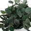 Vase et accent d'eucalyptus Uttermost Essence