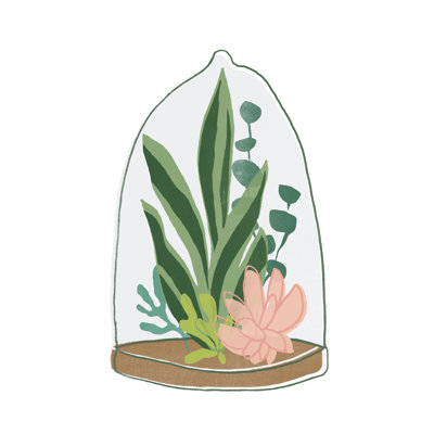 Terrarium Camée VII