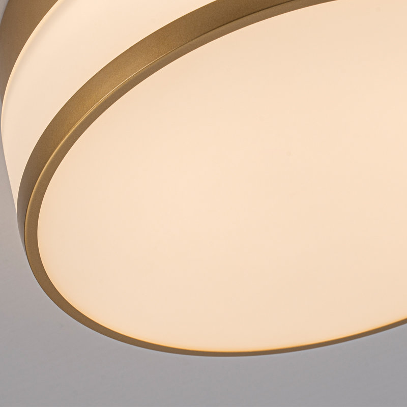 11.4" Modern LED Milk Glass Flush Mount, Brushed Gold
