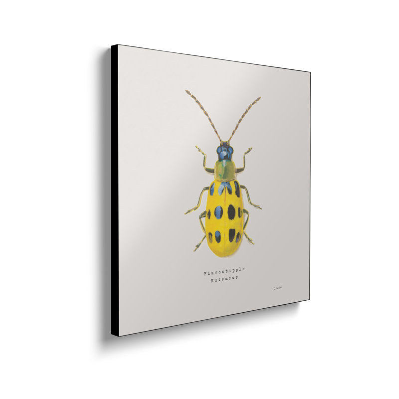 "Steemplix", reproduction d'art sur toile - Adopter Coleoptera VII Sq Golden par James Wiens