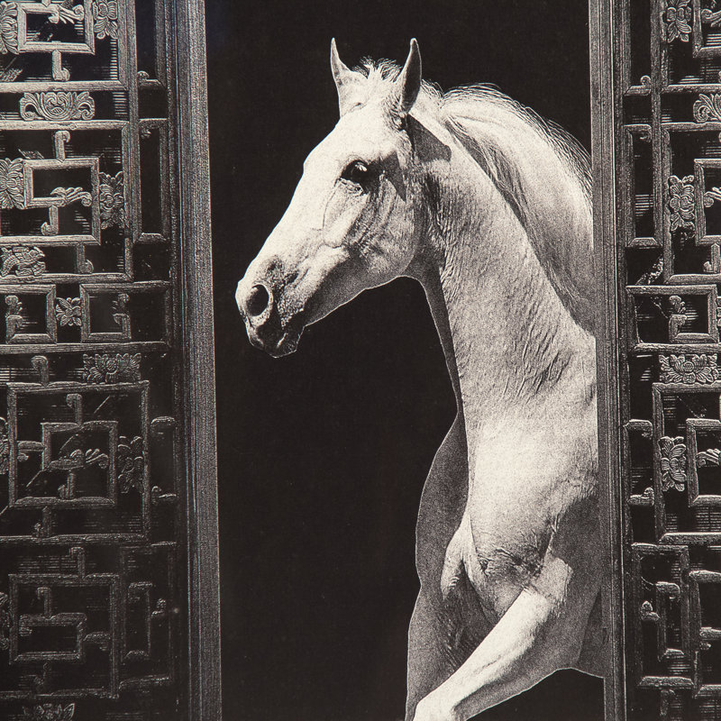 Horse And Moon Print