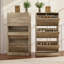 10-12 Pair Shoe Storage Cabinet-32858808