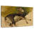A She-Goat-927100191