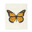 Ensemble de 2 débarbouillettes papillon Monarch