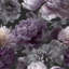 Papier peint floral mauve moderne-541406020