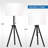 Tripod Table Lamp Adjustable in Height