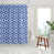 Bleuet des champs
