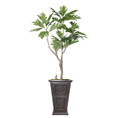 86'' Faux Fiddle Tree Tree