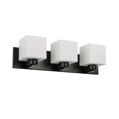 Winafred Vanity - 3 Light - Matte Black - Glass