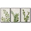 Botanical Wash I 3 pièces-97758421-97758416