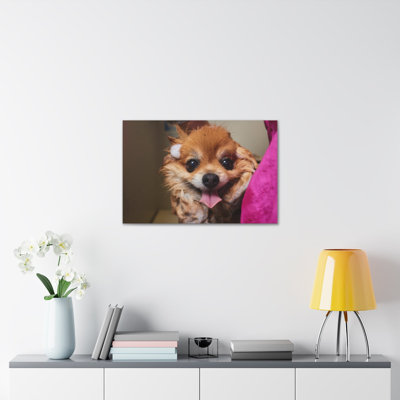 «Funny Corgi Bathee», art mural sur toile