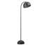 Gursevak 150.5cm Matt Black Arched Floor Lamp