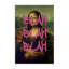 Toile Graffiti sur toile Mona Lisa, design par Masters Redux-959545545