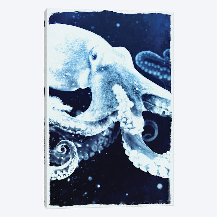 «Indigo Octopus», reproduction sur toile, H 26 po x l 18 po x P 1,5 po, Pas de tapis, Toile tendue