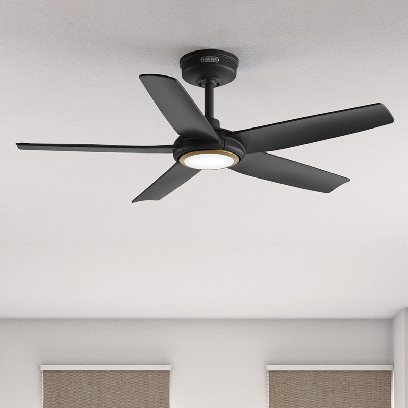 Hunter 44 inch Zentech Wi-Fi ENERGY STAR® Damp Rated 5-Blade Ceiling Fan with LED Light Kit and Handheld Remote, Matte Black