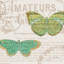 «Bookshelf Botanical IX», impression sur toile-20825643-72778626-72778620